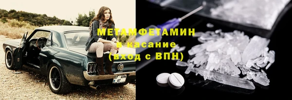 прущие грибы Вязники