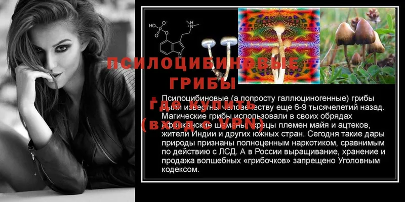 купить закладку  Берёзовка  Галлюциногенные грибы Magic Shrooms 